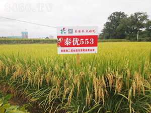 ̩(yu)553-ˮN-𽡷NI(y)