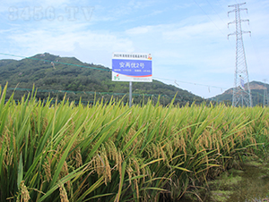 Ƀ(yu)2̖-ˮN-𽡷NI(y)