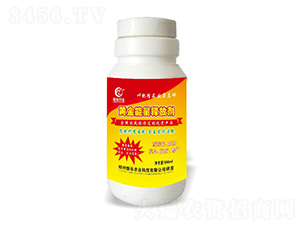 Sጷń-㘷r(nng)I(y)