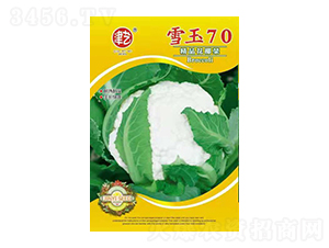 ˷N-ѩ70-Sr(nng)I(y)