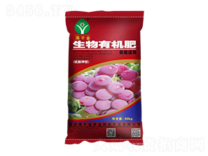 mЙC-ǧ-Zǧr(nng)I(y)