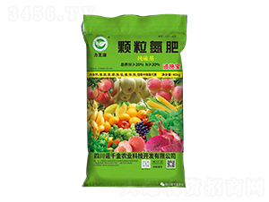 (jng)w-֥Դ-Zǧr(nng)I(y)